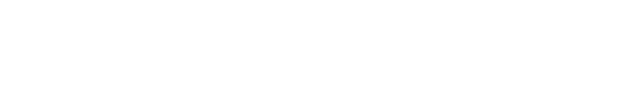 A2 Hosting (now Hosting.com)